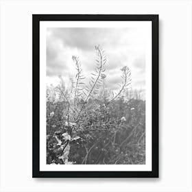 Black And White Flower Art Print