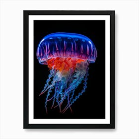 Jellyfish Art Print