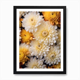 Chrysanthemums 6 Art Print