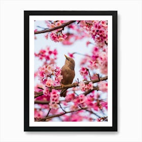 Cherry Blossoms 2 Art Print