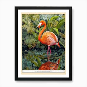 Greater Flamingo Yucatn Peninsula Mexico Tropical Illustration 2 Poster Art Print