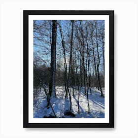 Winter In The Woods 8 Art Print