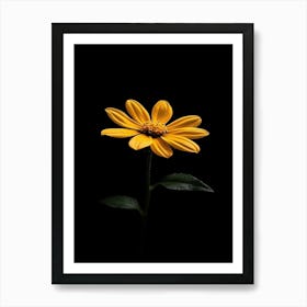 Single Yellow Daisy 2 Art Print