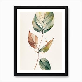 Wild Sarsaparilla Leaf Minimalist Watercolour 1 Art Print