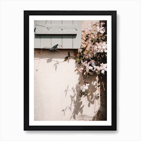 Ivy pink flowers against the old wall and shutters  | France Art Print