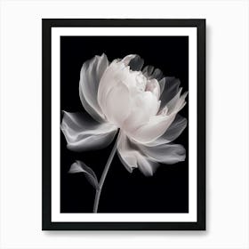 Floral Art 0014 X Ray 0008 X Ray Blumen 0020 Bp6586 Minimalist Soft Bright X Ray Scandinavian Minimalist P 883514ec C3 Art Print