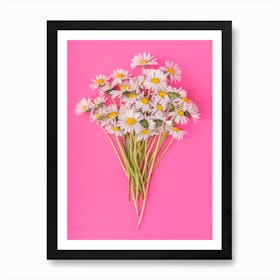 Daisies on Pink Art Print