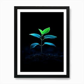 Small Green Plant On Black Background 21 Art Print