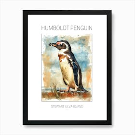 Humboldt Penguin Stewart Island Ulva Island Watercolour Painting 2 Poster Art Print