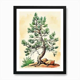 Juniper Tree Storybook Illustration 2 Art Print