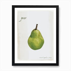 Pear Vintage illustration Print Art Print