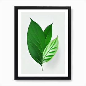 Stevia Leaf Vibrant Inspired 3 Art Print