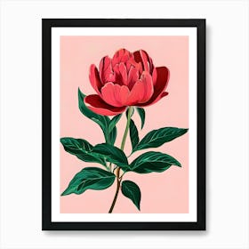 Peony Canvas Print Art Print