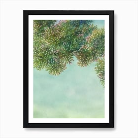 Acropora Pulchra Ii Storybook Watercolour Art Print