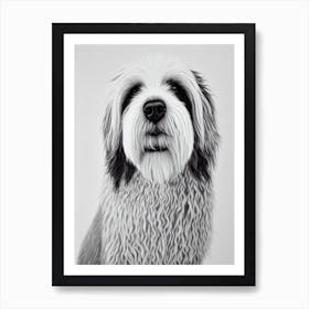 Old English Sheepdog B&W Pencil Dog Art Print