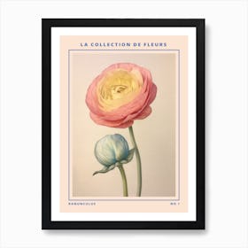 Ranunculus French Flower Botanical Poster Art Print