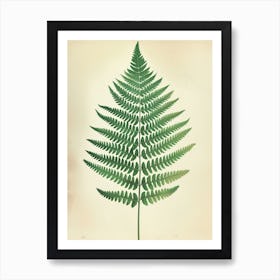 Vintage Illustration Marsh Fern 3 Art Print