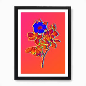 Neon Twin Flowered White Rose Botanical in Hot Pink and Electric Blue n.0150 Art Print