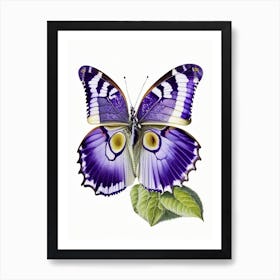 Purple Emperor Butterfly Decoupage 3 Art Print