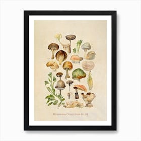 Mushroom Collection 05 Art Print