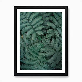 Greens Art Print