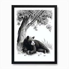 Malayan Sun Bear Laying Under A Tree Ink Illustration 1 Art Print