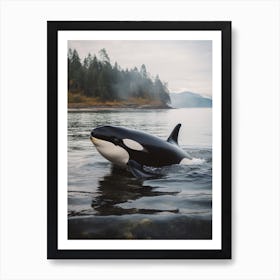 Misty Orca Whale With Forest Background Art Print