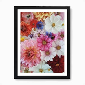 Summer Flower Collection Art Print