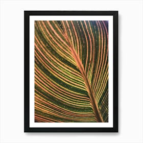 Leaf Patten Lines Colorful Plant 1 Art Print
