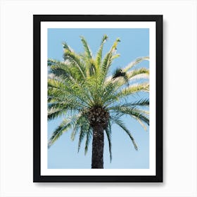 Exotic Palm Tree Art Print