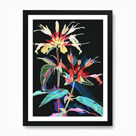 Neon Flowers On Black Bee Balm 3 Art Print