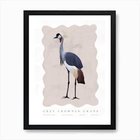 Grey Crowned Crane Art Print