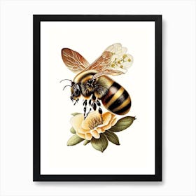 Honeybee And Flower 5 Vintage Art Print