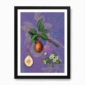 Vintage Pear Botanical Illustration on Veri Peri n.0063 Art Print