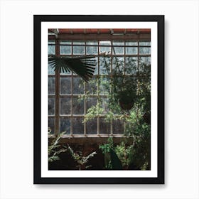 Window In Greenhouse Art Print