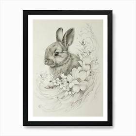 Polish Rabbit Drawing 2 Art Print