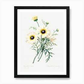 Antique Plant, Pierre Joseph Redoute Art Print