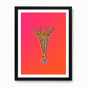 Neon Cloth of Gold Crocus Botanical in Hot Pink and Electric Blue n.0429 Art Print