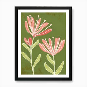 Pink & Green Kangaroo Paw 2 Art Print