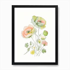 Ranunculus Floral Quentin Blake Inspired Illustration 3 Flower Art Print
