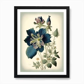 Columbine 1 Floral Botanical Vintage Poster Flower Art Print