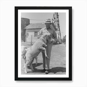 Untitled Photo, Possibly Related To Fsa (Farm Security Administration) Client Feeding Sheep Near Hoxie, Kansas By Art Print