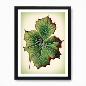 Malva Leaf Vintage Botanical 1 Art Print