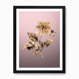 Gold Botanical Dahlia Simplex on Rose Quartz n.0805 Art Print