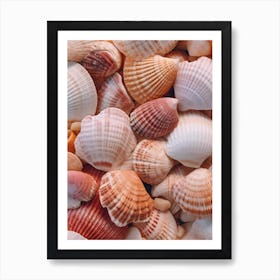 Sea Shells Art Print