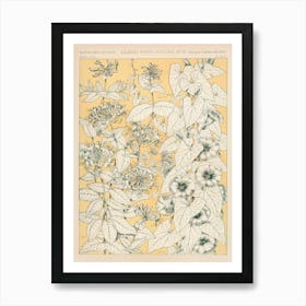 Vintage Pattern Illustration, Owen Jones                    Art Print