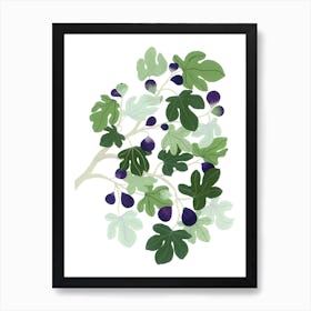 Mediterranean Plant Fig Tree Botanical Painting Art Print