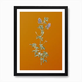 Vintage Spanish Clover Bloom Botanical on Sunset Orange n.0924 Art Print