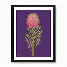 Protea Flower Art Print