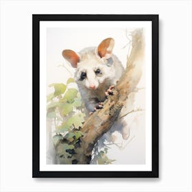 Light Watercolor Painting Of A Posing Possum 4 Art Print